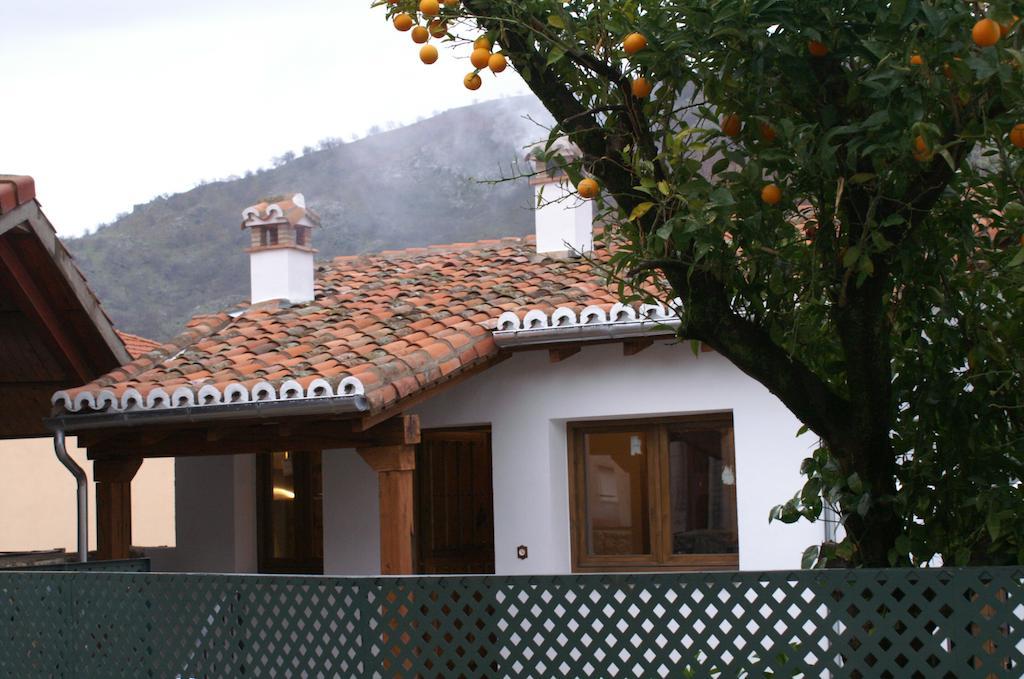 One-Bedroom House,244861965:JPEG